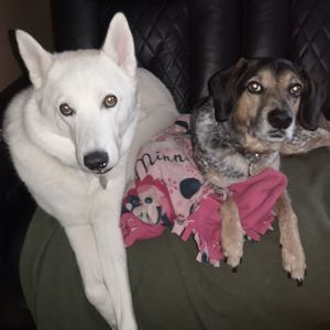 Meet your Posher, Leslie